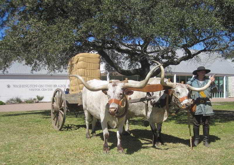 Best Western Inn Of Brenham Eksteriør bilde